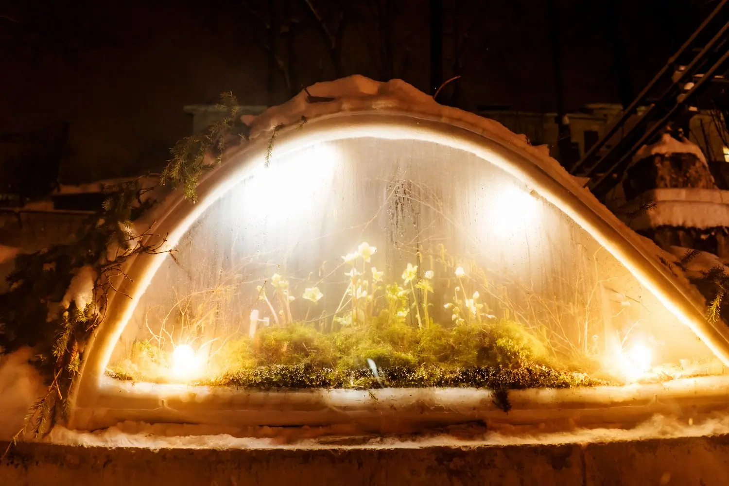 Maty grzewcze do terrarium: instalacja i bezpieczeństwo użytkowania