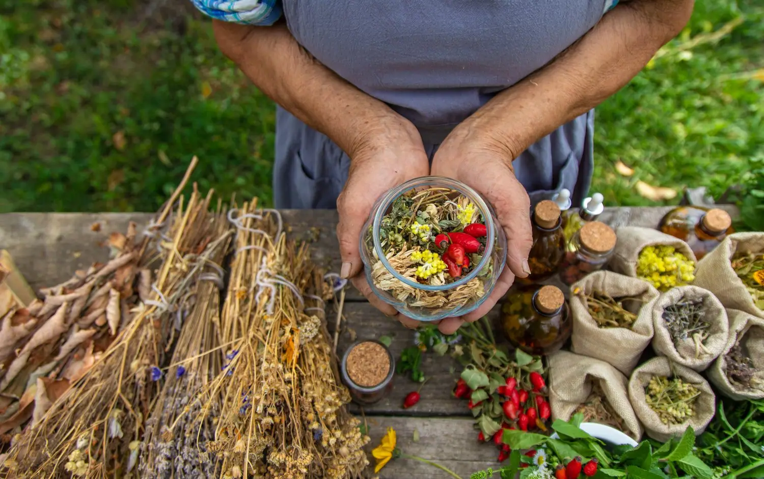 Produkty do terapii ziołowej: naturalne preparaty weterynaryjne