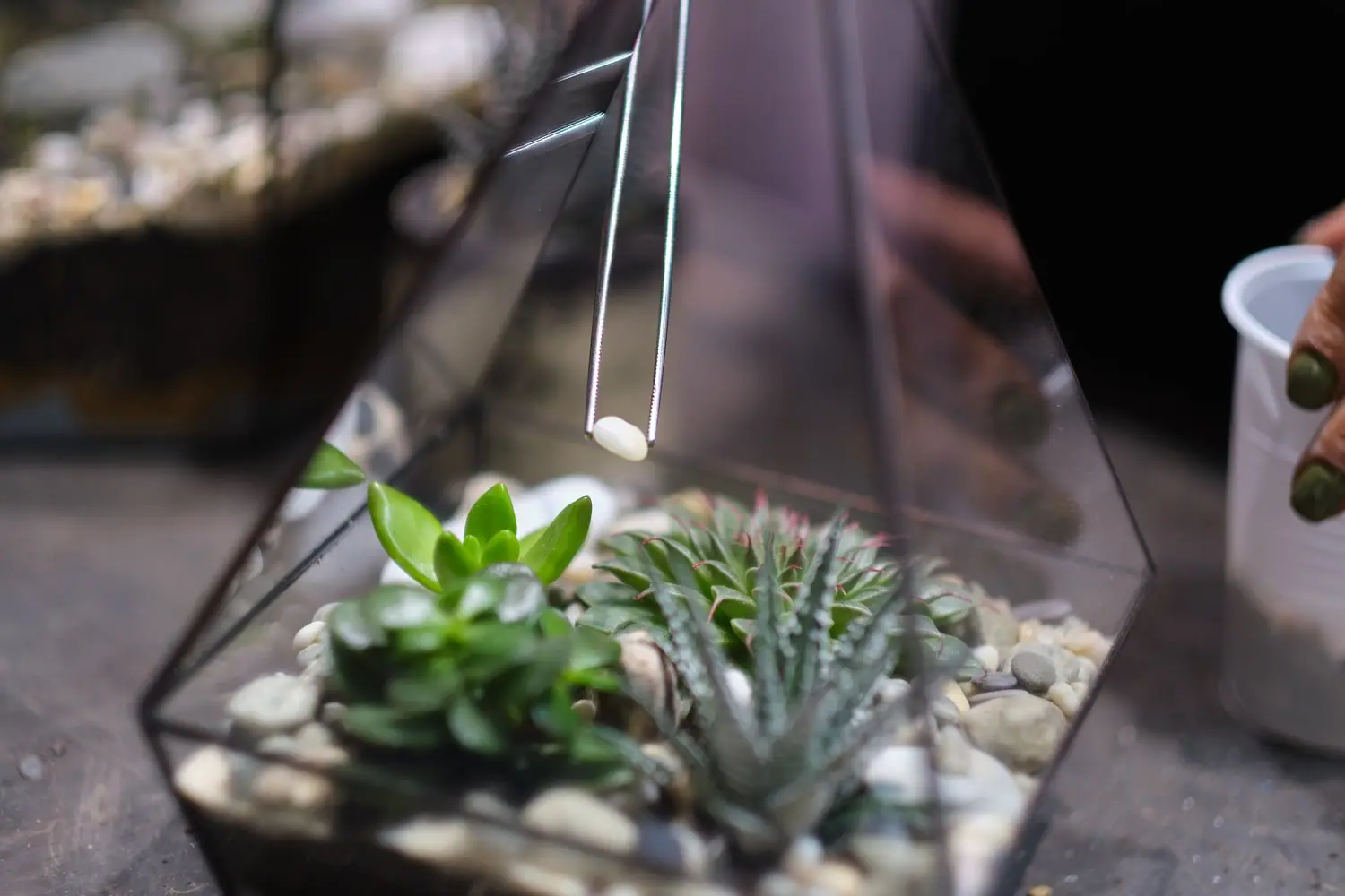 Maty grzewcze ceramiczne: ogrzewanie punktowe terrarium