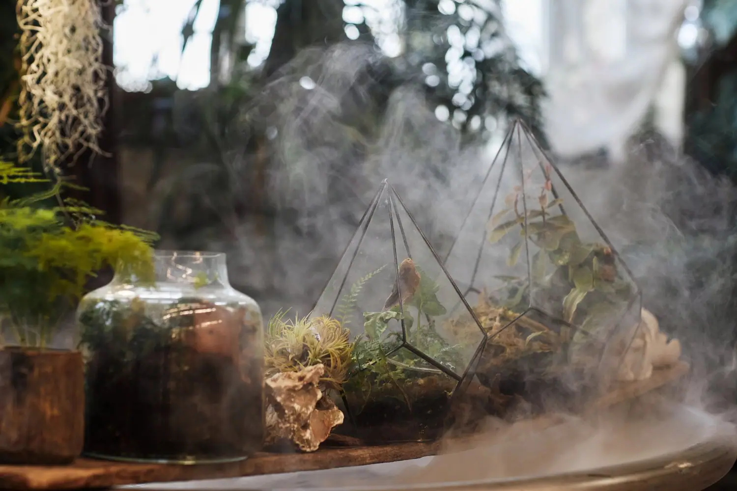 Termostaty elektroniczne vs mechaniczne: która technologia sprawdzi się lepiej w terrarium